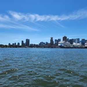 Meet your Posher, nisy